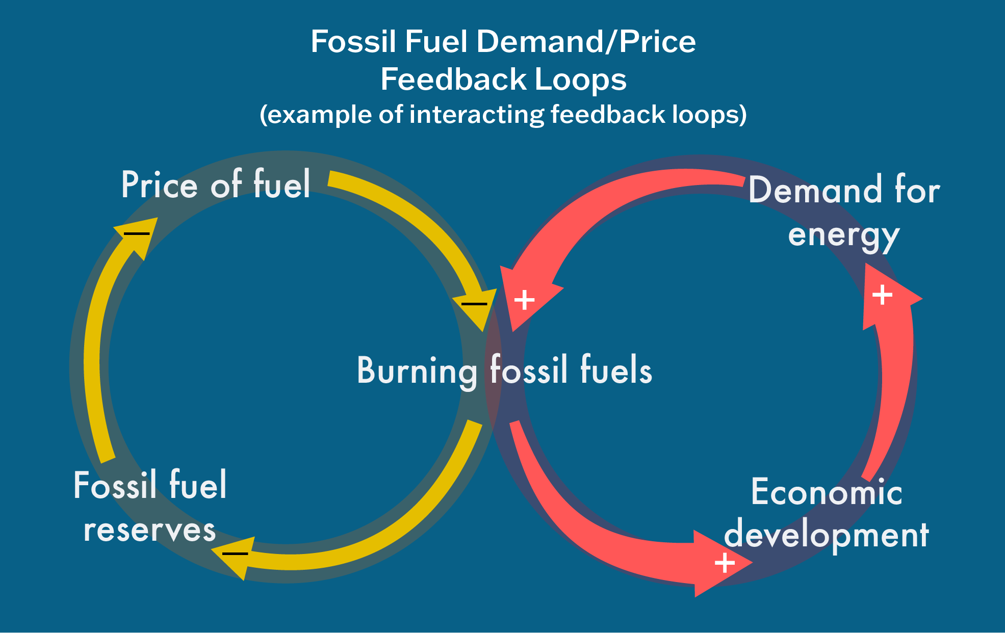 infographic demonstrating a balancing feedback loop and reinforcing feedback loop connected